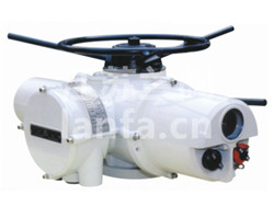 羅托克IF智能型電動(dòng)裝置